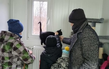 Miauuuu&hellip;. z wizytą u kotk&oacute;w w schronisku w Pudwągach 2