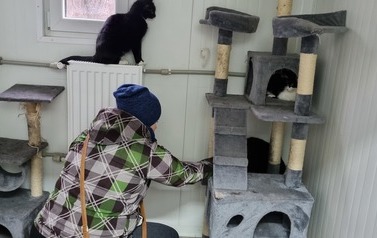 Miauuuu&hellip;. z wizytą u kotk&oacute;w w schronisku w Pudwągach 3