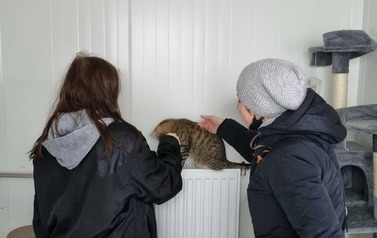 Miauuuu&hellip;. z wizytą u kotk&oacute;w w schronisku w Pudwągach 6