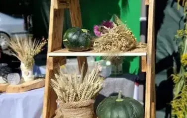 Najpiękniejsze Stoisko Dożynkowe 2025 12