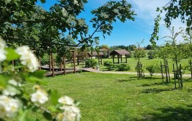 Urzędnicy zn&oacute;w pokazali, że potrafią działać nie tylko za biurkiem! 18