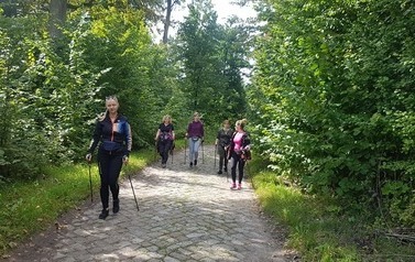  Gmina Kętrzyn zaprasza do korzystania z nowo otwartych tras Nordic Walking 8