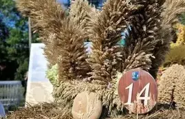 Najpiękniejszy wieniec dożynkowy 2025 2