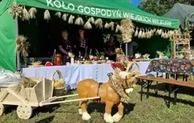 Najpiękniejsze Stoisko Dożynkowe 2025 1