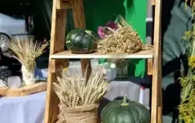 Najpiękniejsze Stoisko Dożynkowe 2025 12