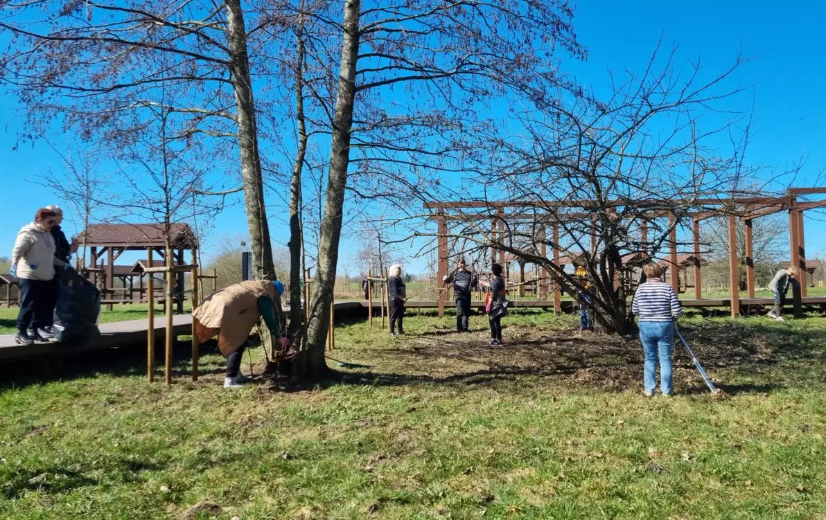 Grupa osób sprzątajacych teren nad jeziorem Mój