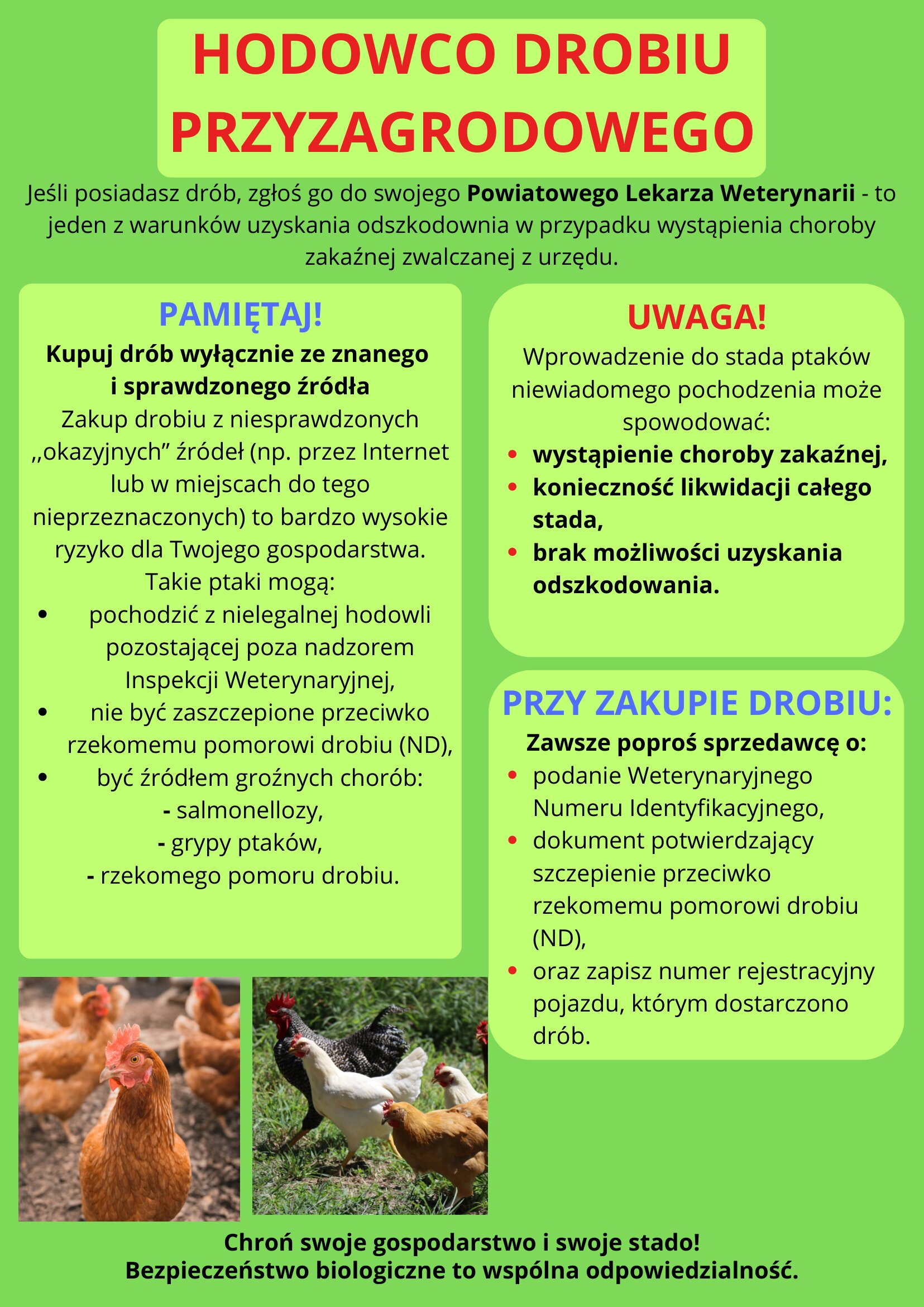 Informacja