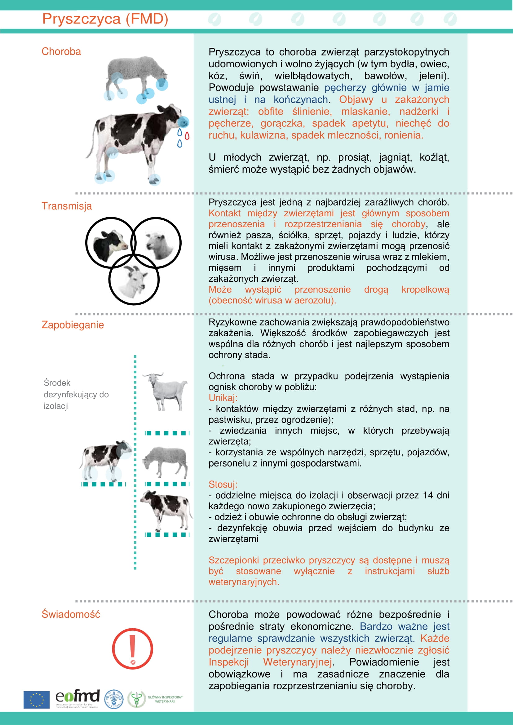 Ulotka informacyjna na temat pryszczycy u zwierząt