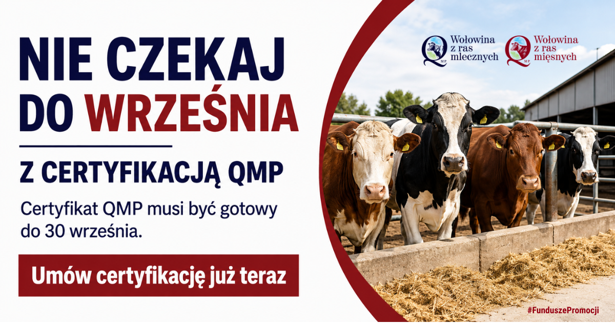 ogłoszenie
