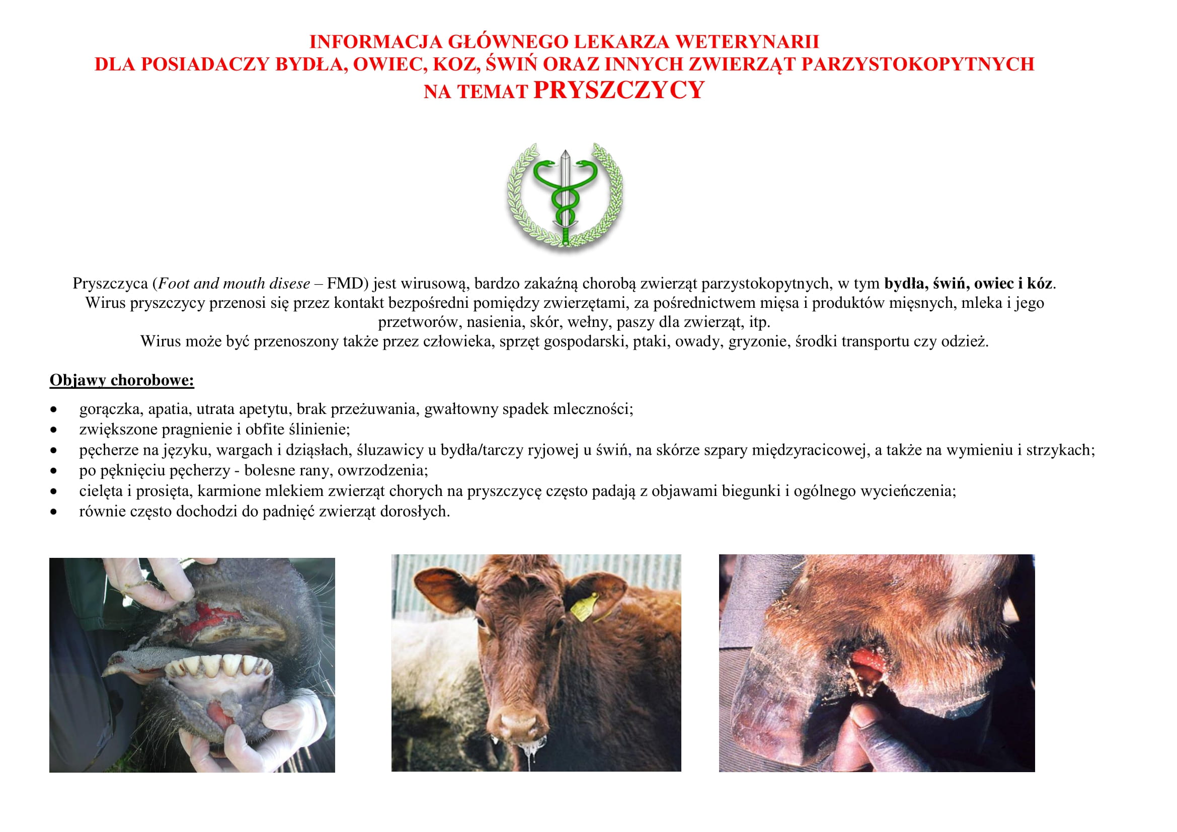 Ulotka informacyjna na temat pryszczycy u zwierząt
