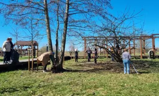 Grupa osób sprzątajacych teren nad jeziorem Mój