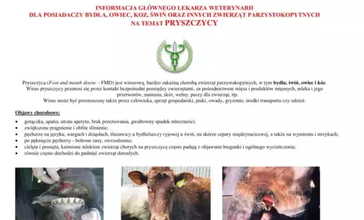 Ulotki informacyjne na temat pryszczycy u zwierząt