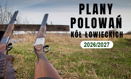 Zdjęcie do Informacja o planach polowań zbiorowych k&oacute;ł łowieckich w sezonie 2026-2027